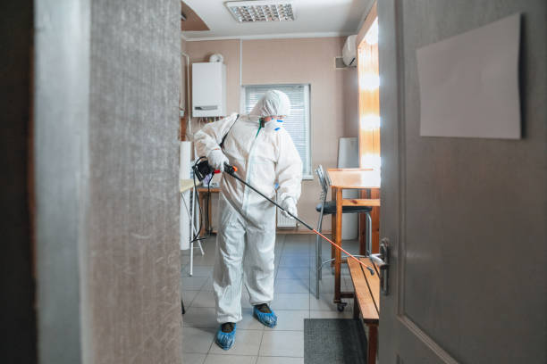 Mold Remediation for Rental Properties in Panama, OK